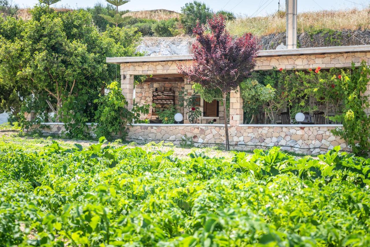 Emilia'S Little Farmhouses Agioi Anargyroi  المظهر الخارجي الصورة