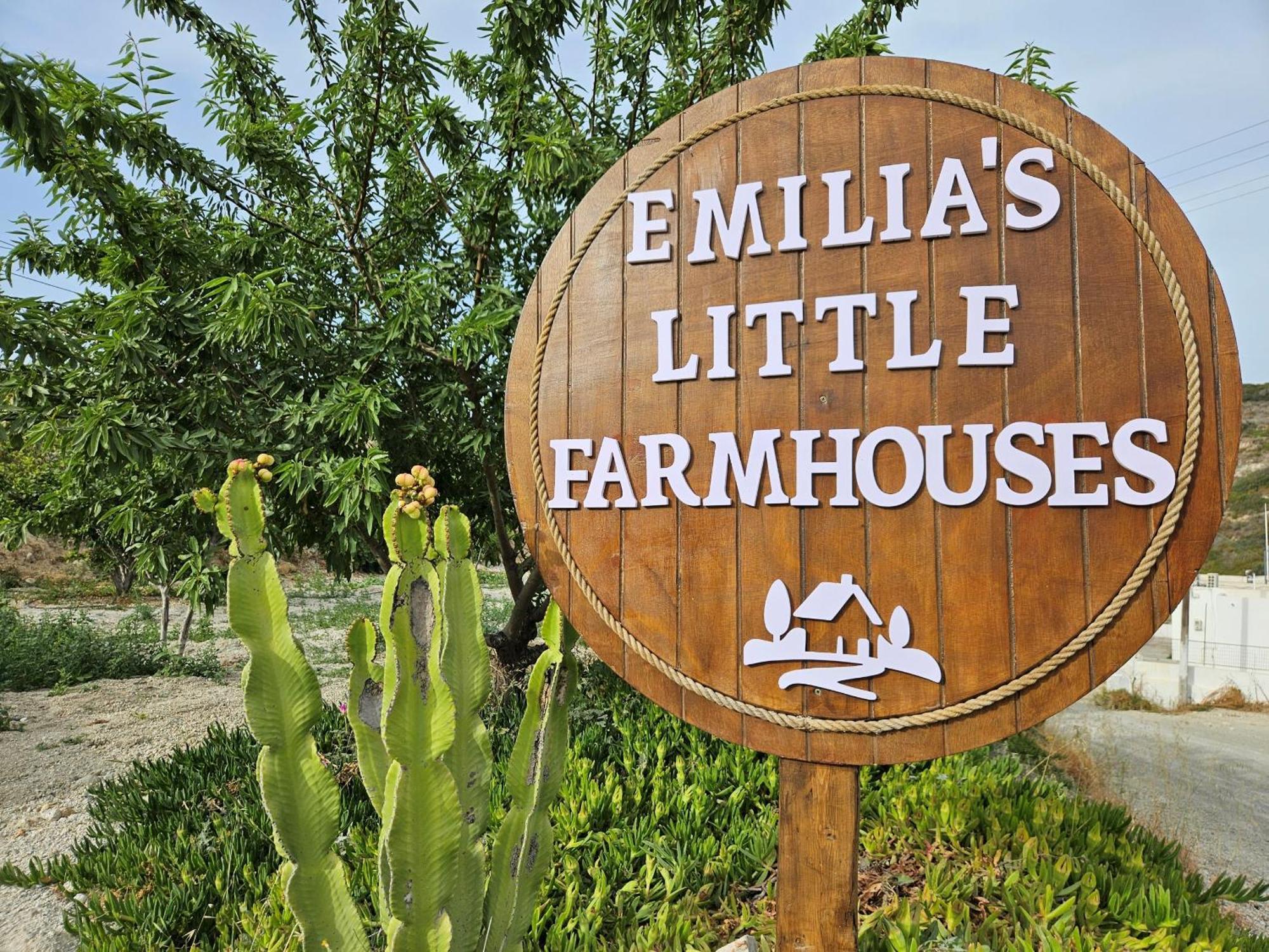 Emilia'S Little Farmhouses Agioi Anargyroi  المظهر الخارجي الصورة